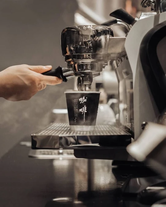 Ekspres ciśnieniowy SLAYER Espresso STEAM EP | 2-grupowy