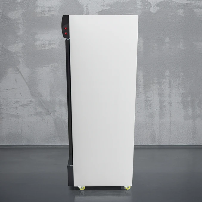 Witryna | Szafa chłodnicza przeszklona | Bottle Cooler 800l