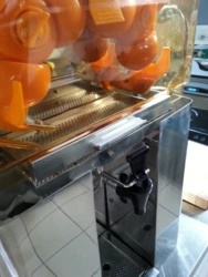 Automatyczna Wyciskarka do Cytrusów GP-45